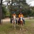 Tale of Two Horses